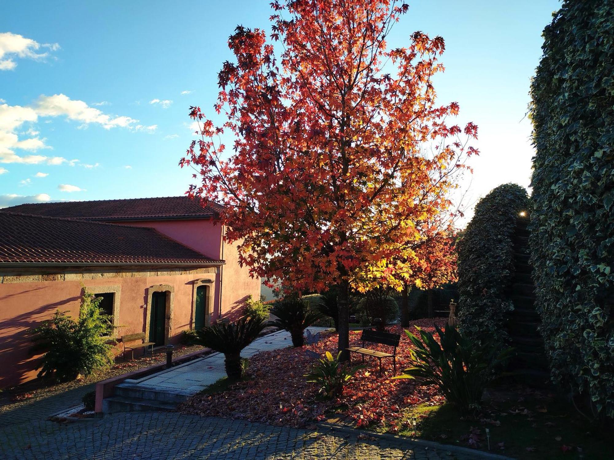 Villa Quinta De Baixo Vila Marim Exterior foto
